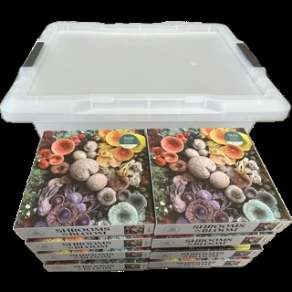 Puzzle Race Kit Puzzle Race Kit